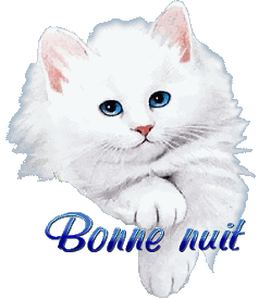Le repas c'est chat-cré...