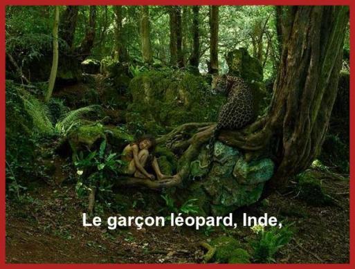 Les Enfants De La Jungle.