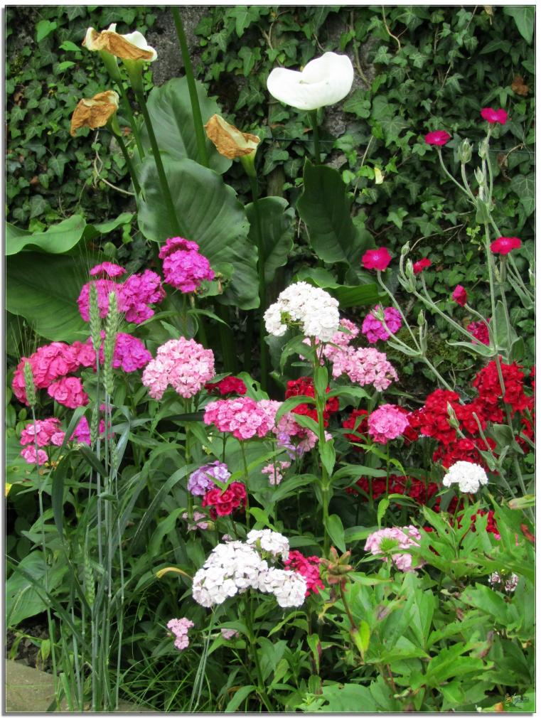 REVENONS AU JARDIN 