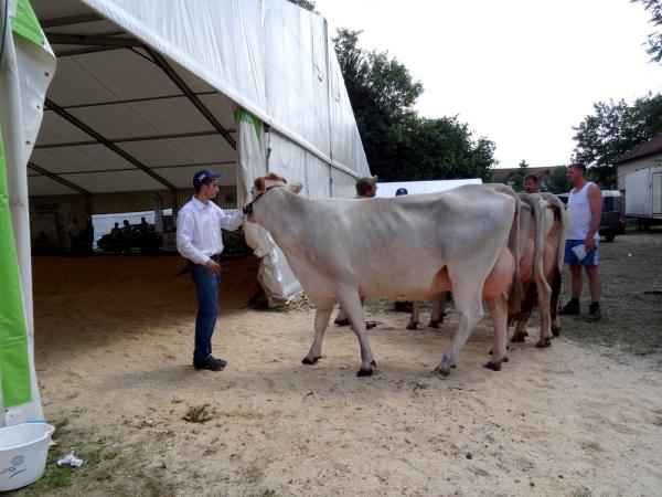 Les Journées Châtillonnaises 2015
