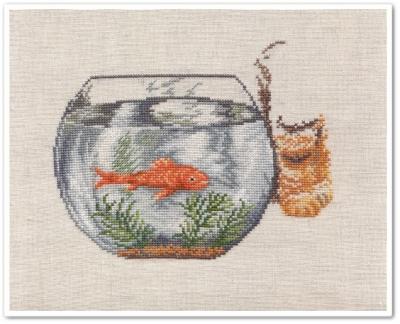 Le chat et le poisson rouge 6