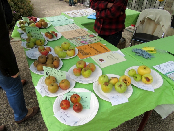 La Fête de la Pomme 2018 à Laignes