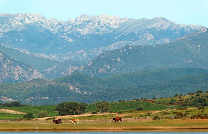 Département de la Corse  2ème partie