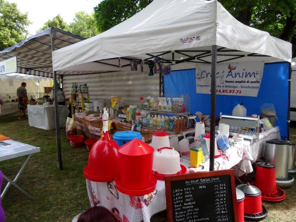 Les journées Châtillonnaises : producteurs locaux, associations, commerces, spectacles...