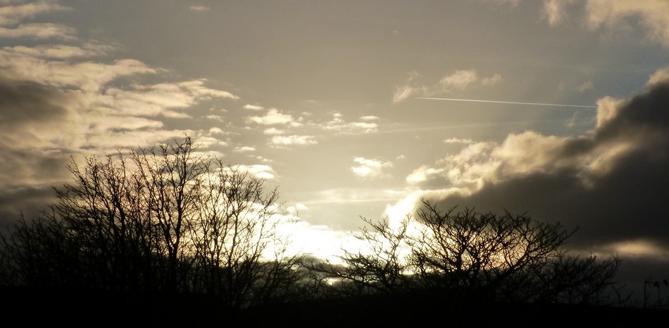 Pêle-mêle du dimanche