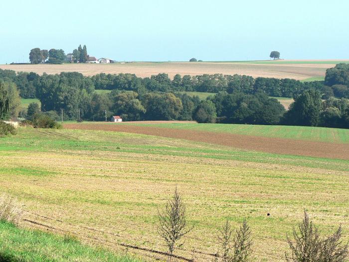 Département de l'Yonne
