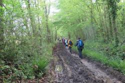 La randonnée du 28 avril à Gouvix