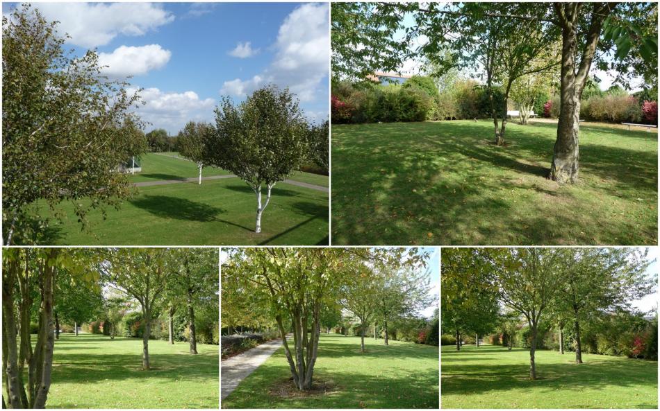 La Vallée des Vignes