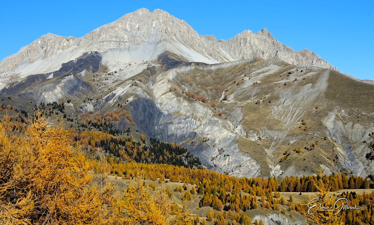 Dernier jour d'automne