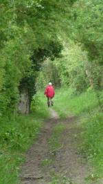 La randonnée du 6 mai à Bavent