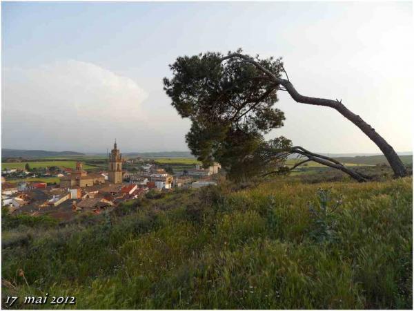 (J43) Viana / Los Arcos 17 mai 2012 (2)