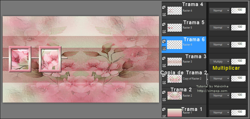 Delicate Flowers