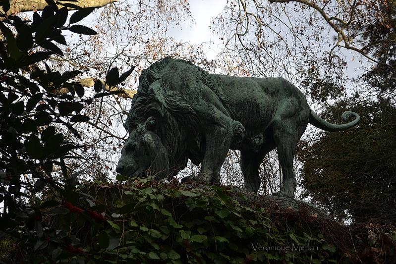 Jardin des Plantes : La Fontaine aux Lions