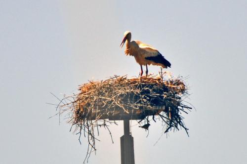 Portugal :Crise du logement...