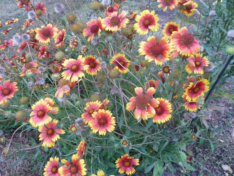 septembre 
