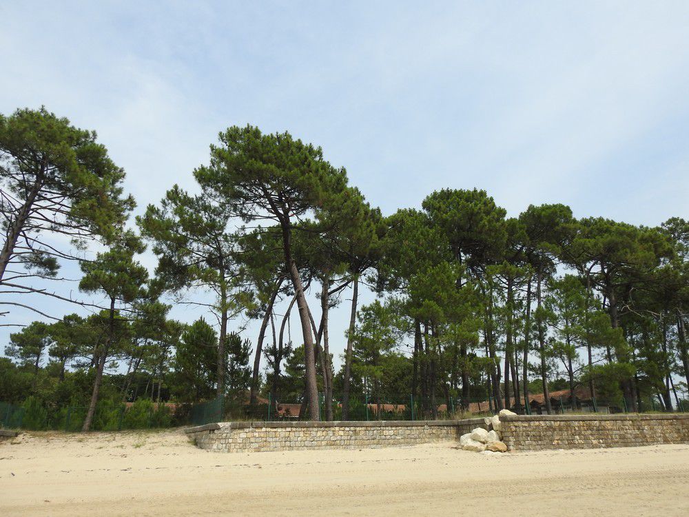 L'Aérium d'Arès, aujourd'hui...