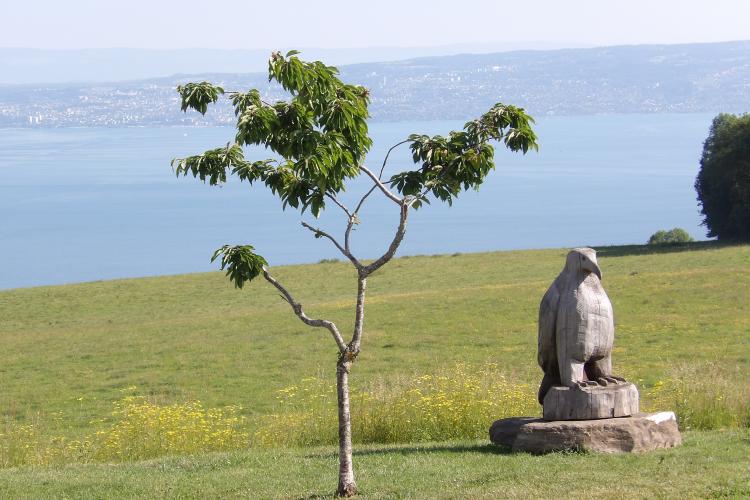 Bernex et St Paul en Chablais