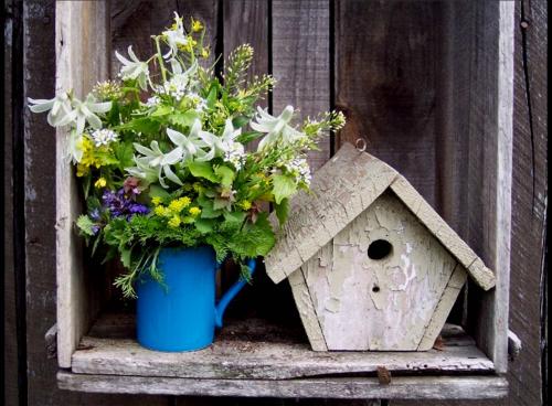 encore des fleurs