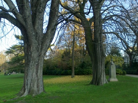 Image3