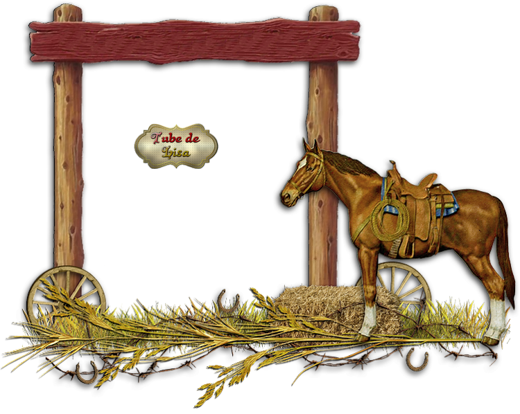 Tube western série 12