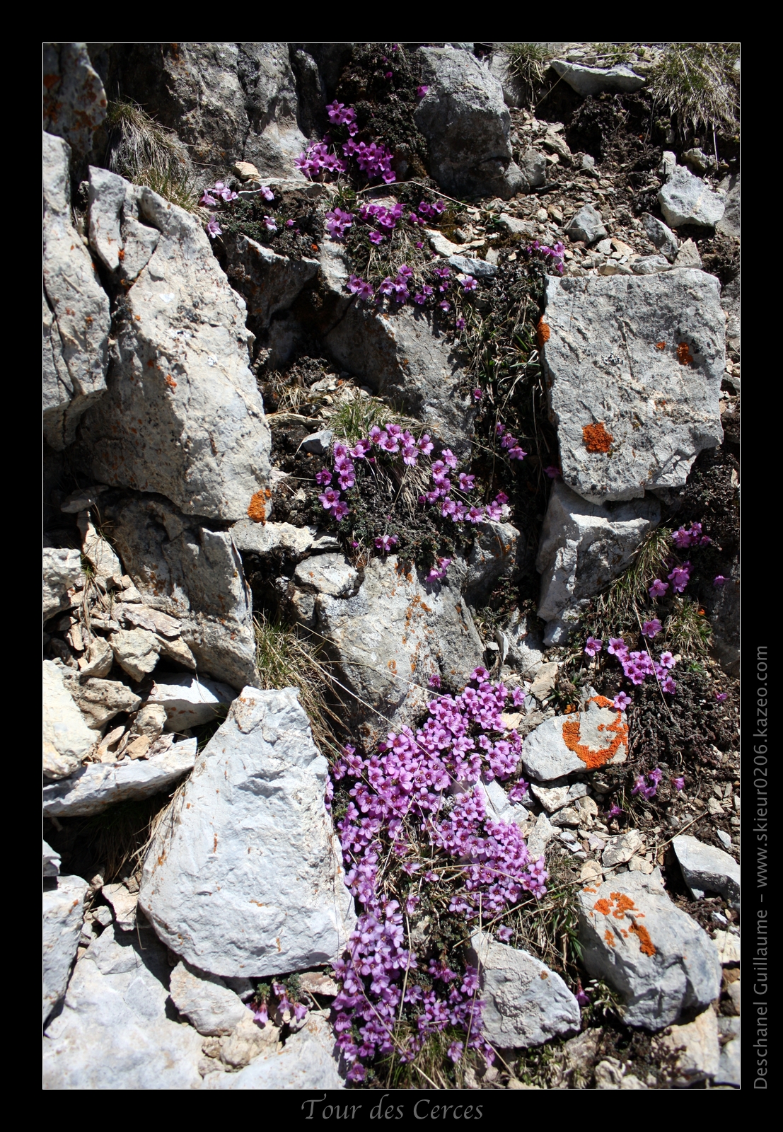 IMG_6098-BorderMaker