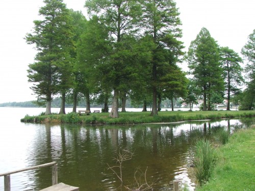 DSCF4094.JPG
