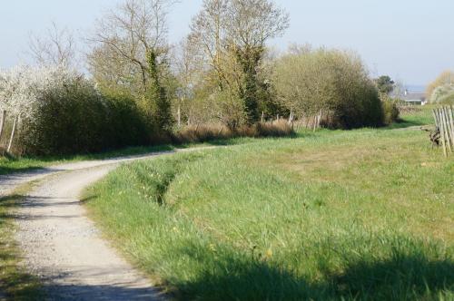 Saint Aubin de Luigné (fin du circuit)