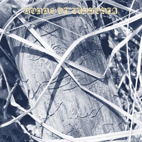 ABEST - Les détails du nouvel album Bonds Of Euphoria