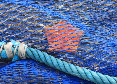 Lundi 20 au dimanche 26 janvier