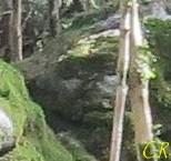 Eau, arbres et rochers énigmatiques