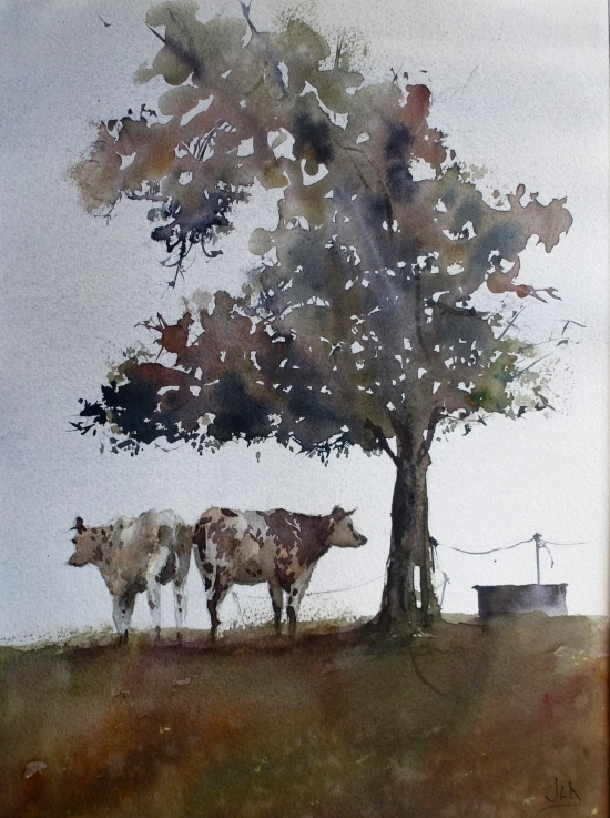 Aquarelles de : Jean Luc Decron