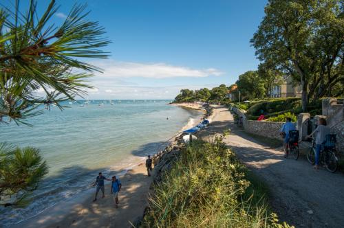 Ile de Noirmoutier  ( Vendée )