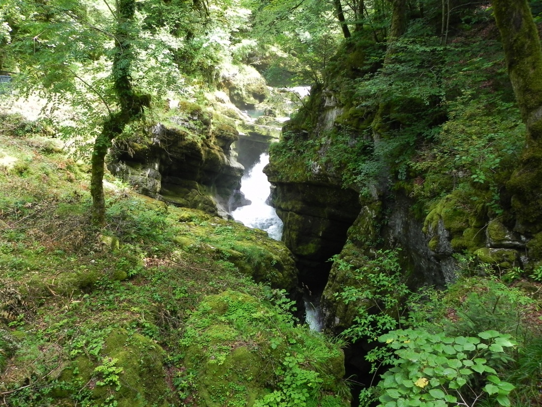 ma photo dans le Jura et je vois ? 
