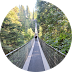 Photo de Pont suspendu de Capilano