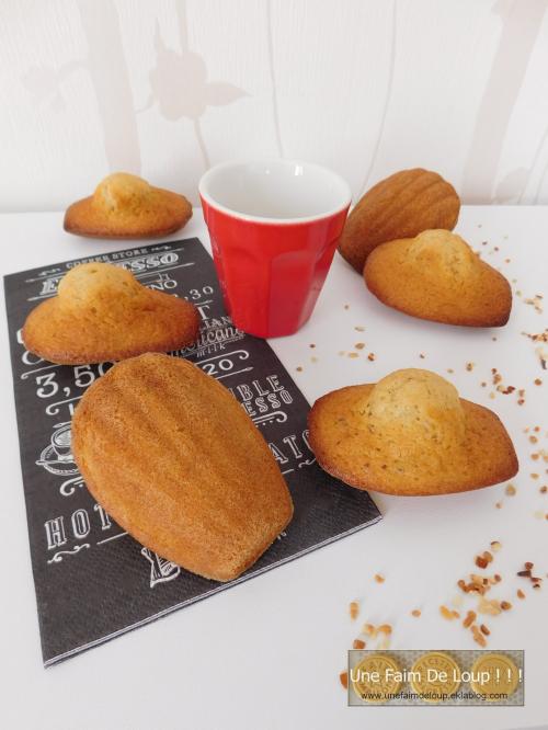 Madeleines au pralin