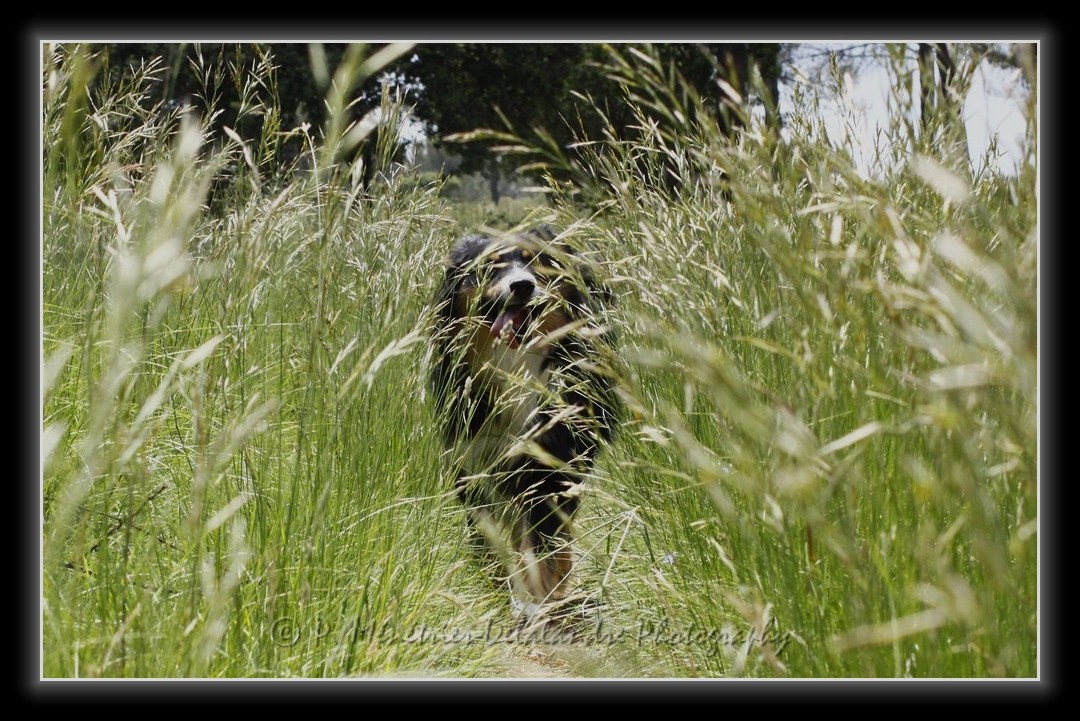 Bouge pas, j'arrive !