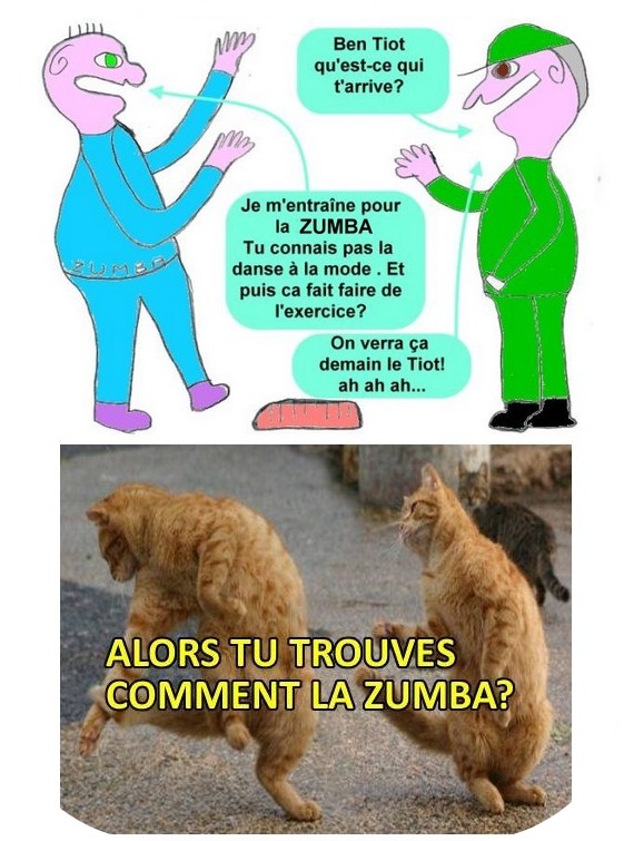 On ne rate pas l'humour du dimanche chez "les Tiot".