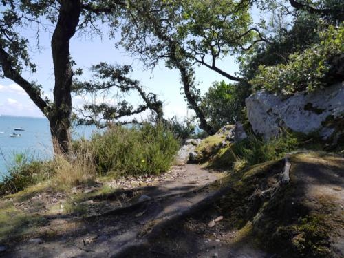 Ile de Noirmoutier  ( Vendée )
