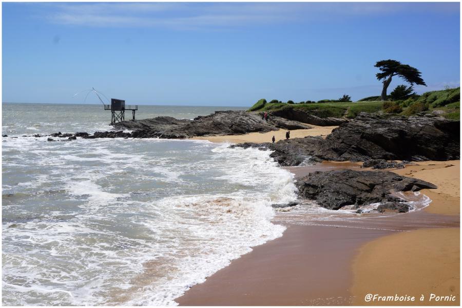 Littoral pornicais au Portmain 
