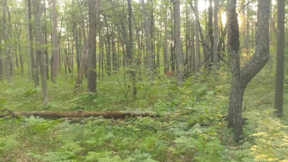 Tour de l'Ontario 2021: De Goderich à Point Edwards