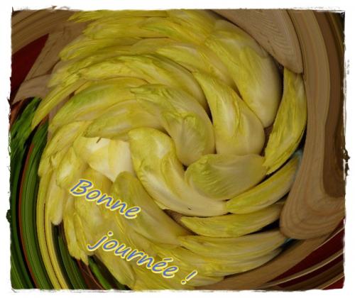 Un bon légume d'hiver ...."le chicon".