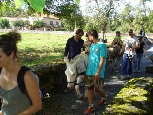 PHOTO A DOS D'ANE 10 SEPT 2014  N°2
