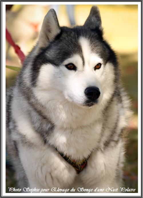 Iska (10 ans)