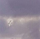 Yves P. - les émanants