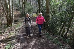La randonnée du 19 mars à Cauville