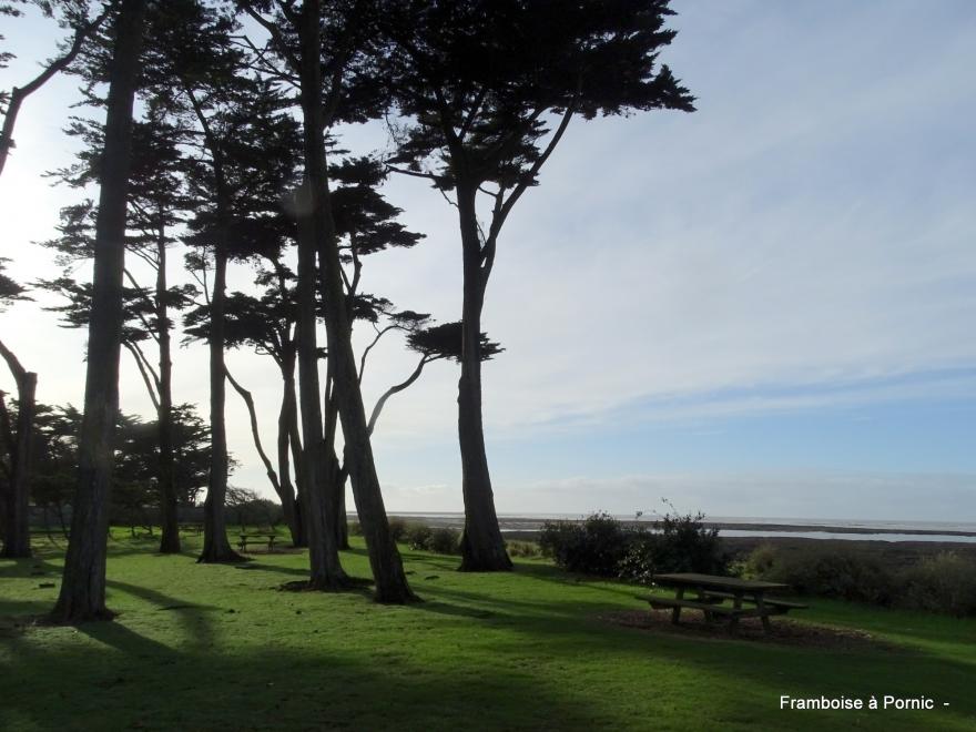 Sentier littoral La Plaine sur mer - 44 - 