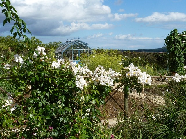 Les jardins de Laquenexy 5 mp13 2010