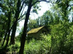 Lundi en une deux trois (Ou plus ... ) photos