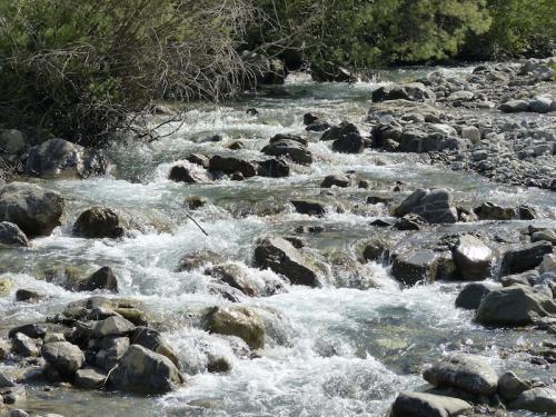 Le long de la Rouanne (Ancelle - Champsaur)