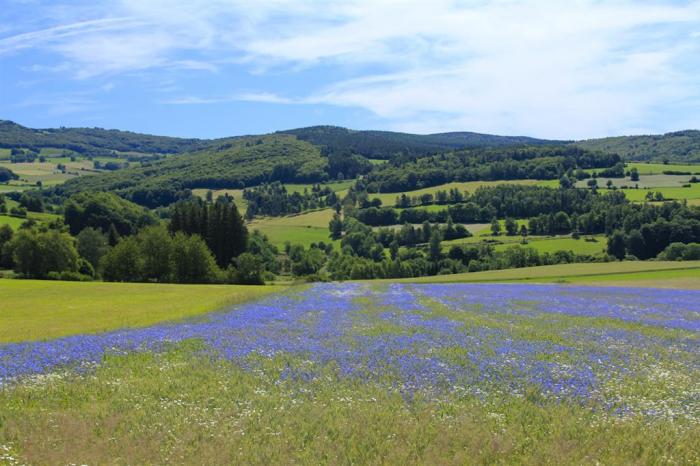 Département de la Lozère